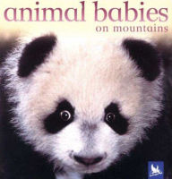 Animal Babies on Mountains