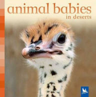 Animal Babies in Deserts