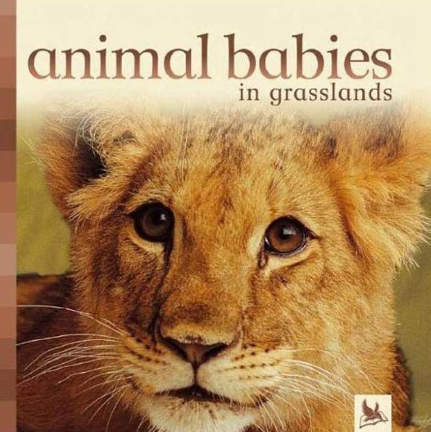 Animal Babies in Grasslands by Editors of Kingfisher, Board Book