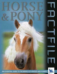 Horse and Pony Factfile