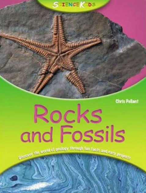 i dig it rocks and fossils