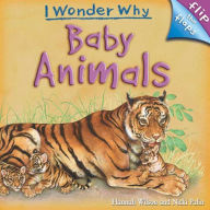 Baby Animals