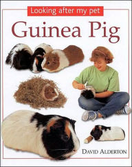 Guinea Pig (Looking after My Pet Series)