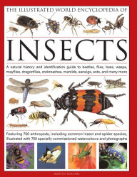 Title: The Illustrated World Encyclopedia of Insects, Author: Martin Walters