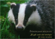 Woodland Wildlife Large Card Box