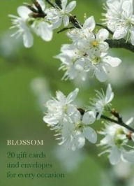 Title: Blossom Large Card Box, Author: Anness Publishing