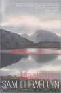Maelstrom