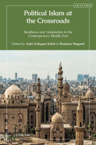 Title: Political Islam at the Crossroads: Resilience and Adaptation in the Contemporary Middle East, Author: Ayfer Erdogan