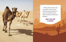 Alternative view 3 of I Am Not a Camel: Animals in the Desert