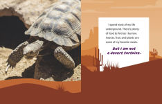 Alternative view 5 of I Am Not a Camel: Animals in the Desert