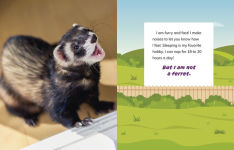 Alternative view 4 of I Am Not a Dog: Pet Animals
