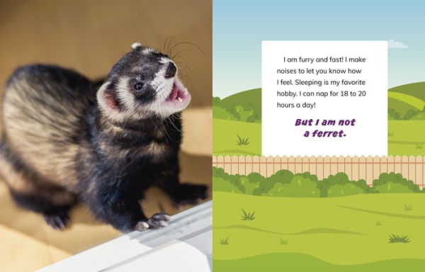 I Am Not a Dog: Pet Animals