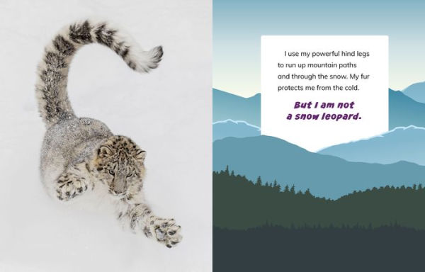 I Am Not a Snow Leopard: Animals in the Mountains