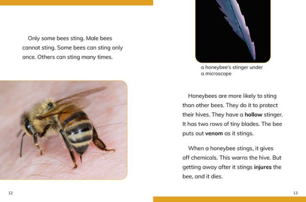 Why Do We Need Bees?