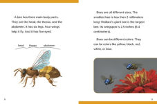 Alternative view 4 of Why Do We Need Bees?