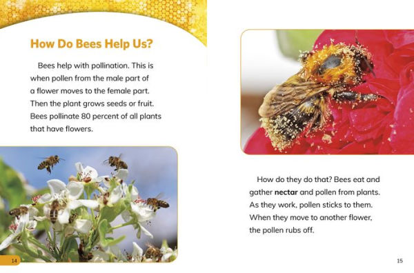 Why Do We Need Bees?