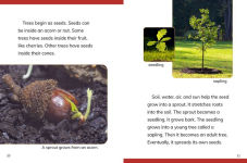 Alternative view 4 of Why Do We Need Trees?