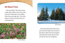 Alternative view 4 of Why Do We Need Trees?
