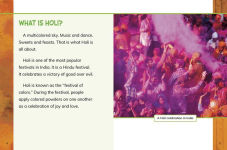 Alternative view 2 of Holi