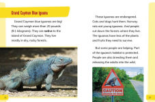 Alternative view 2 of Endangered Reptiles Around the World