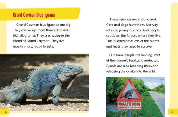 Endangered Reptiles Around the World