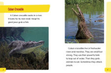 Alternative view 3 of Endangered Reptiles Around the World