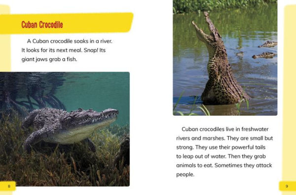 Endangered Reptiles Around the World