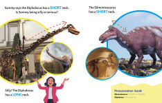 Alternative view 4 of Dinosaur Tall and Dinosaur Small: Finding Opposites at the Museum