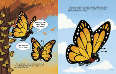 Alternative view 4 of My Monarch Butterfly Migration Journey