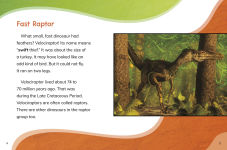 Alternative view 3 of Velociraptor