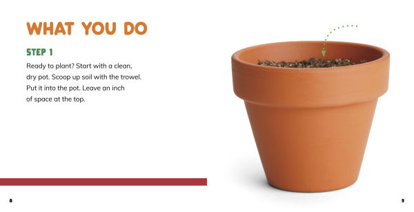 Grow Your Own Basil