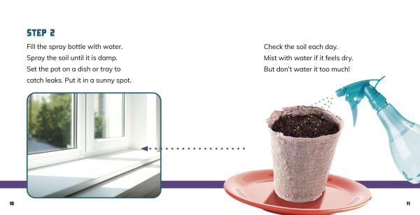 Grow Your Own Sunflowers