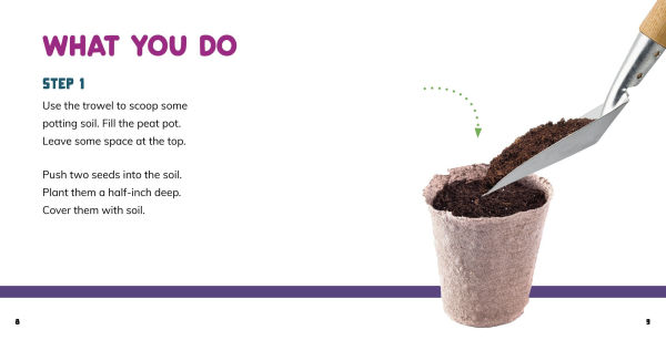 Grow Your Own Sunflowers