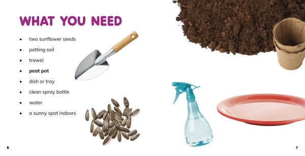 Grow Your Own Sunflowers