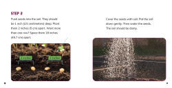 Alternative view 2 of Grow Your Own Green Beans