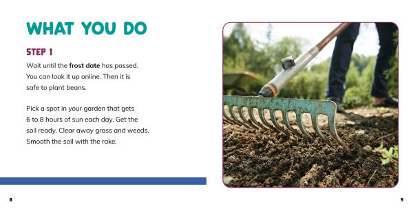Grow Your Own Green Beans