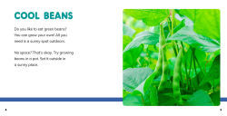 Alternative view 4 of Grow Your Own Green Beans