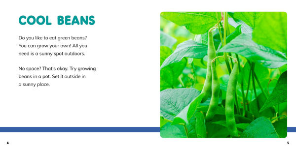 Grow Your Own Green Beans