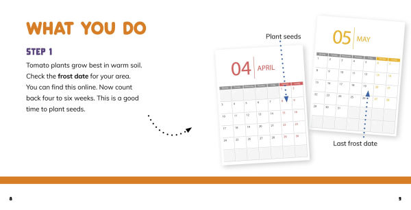Grow Your Own Tomatoes