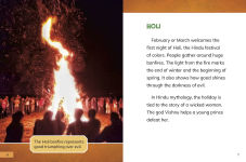 Alternative view 2 of Hindu Festivals and Traditions