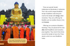Alternative view 3 of Buddhist Festivals and Traditions