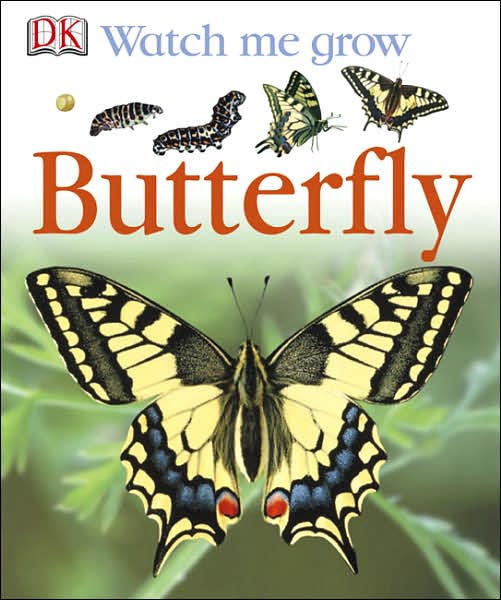 Butterfly by DK Publishing, Hardcover Barnes & Noble®