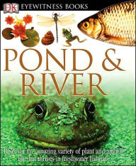 Pond & River