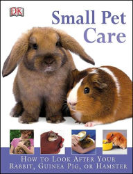 Small Pet Care: HOW TO LOOK AFTER YOUR RABBIT, GUINEA PIG, OR HAMSTER