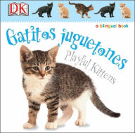 Gatitos juguetones / Kitten Games