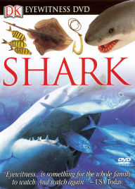 Eyewitness: Shark