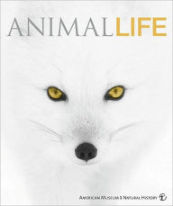 Animal Life: Secrets of the Animal World Revealed