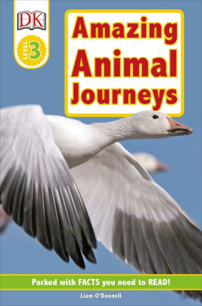 Amazing Animal Journeys Dk Readers Level 3 Series By Liam Odonnell