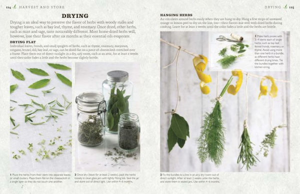 The Cook's Herb Garden: Grow, Harvest, Cook