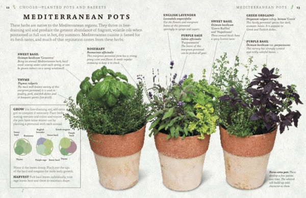 The Cook's Herb Garden: Grow, Harvest, Cook